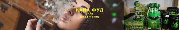 ГАЛЛЮЦИНОГЕННЫЕ ГРИБЫ Белокуриха