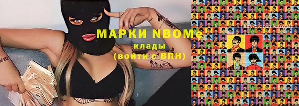 ГАЛЛЮЦИНОГЕННЫЕ ГРИБЫ Белокуриха