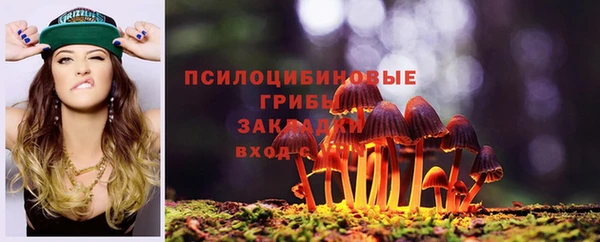 амфетамин Богданович