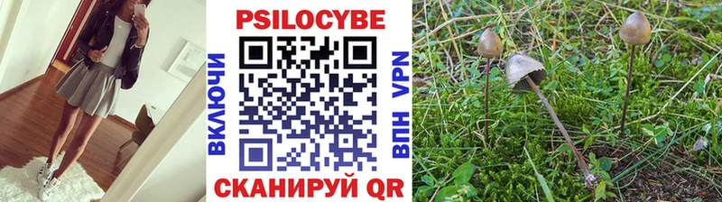 Псилоцибиновые грибы прущие грибы  Верхний Тагил 